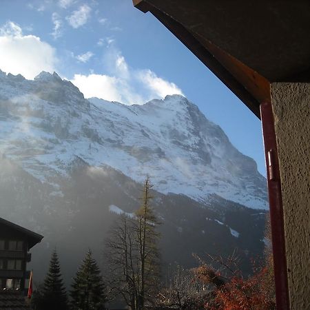 Pfaffenstoeckli Apartamento Grindelwald Exterior foto
