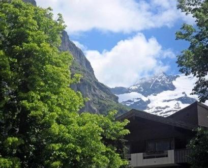 Pfaffenstoeckli Apartamento Grindelwald Quarto foto